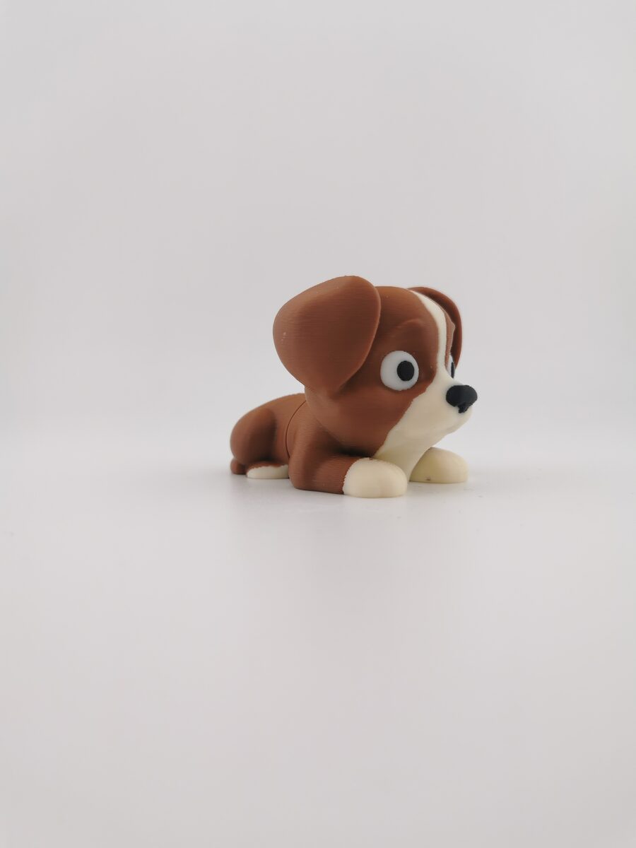 Flexi Dog9